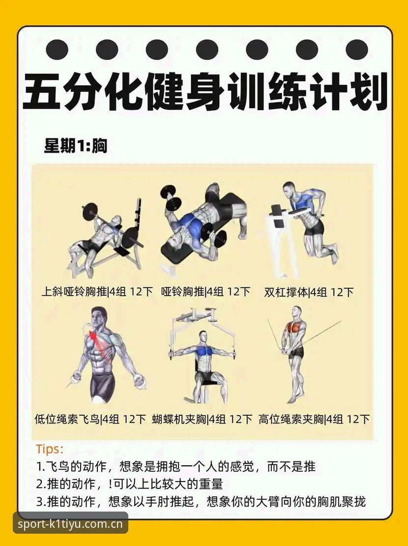 5个提升k1体育平台使用体验的核心技巧，从新手到高手的进阶指南